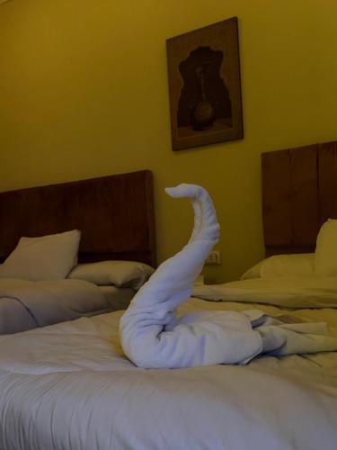 Scarab pyramids view