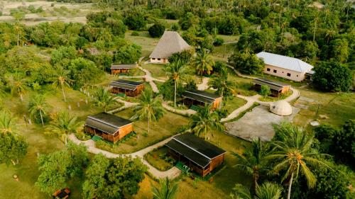 Signature Collections by Eight Continents