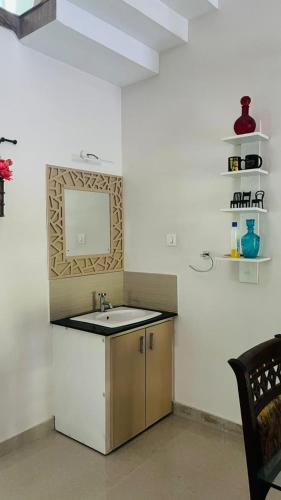 a bathroom with a sink and a mirror on the wall at Parthipuram in Thottada