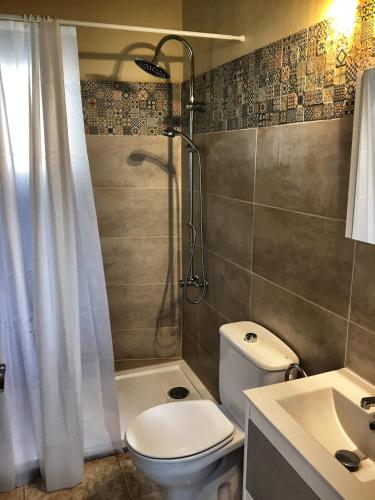 a bathroom with a toilet and a shower and a sink at Casa Abuelo Pepe in Hermigua