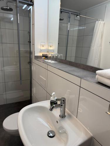 a bathroom with a sink and a toilet and a mirror at Ferienhaus 26 Bernd mit 10-Schlafzimmer in Greifswald in Heilgeisthof