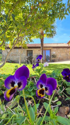 a group of purple flowers in front of a house at Quinta do Limite - Casa do Camponês in Covilhã