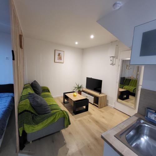 ein Wohnzimmer mit Sofa und Fernseher in der Unterkunft Riverside in Montereau-faut-Yonne