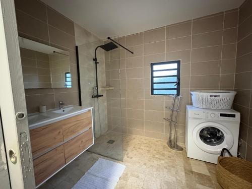 een badkamer met een wasmachine en een wasmachine bij Le Jams Rosats in Saint-Denis