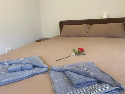 een bed met twee handdoeken en een roos erop bij Albany house in Motungarara