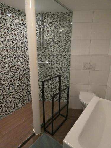 a bathroom with a shower and a toilet at Gastenverblijf Op den dreef in Hamont