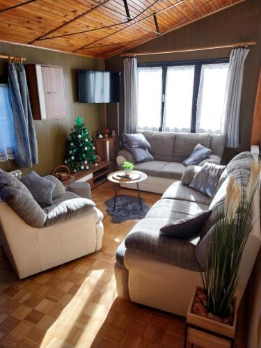 Apartman Lujzijana