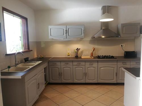 Kuhinja oz. manjša kuhinja v nastanitvi Villa Ticitron