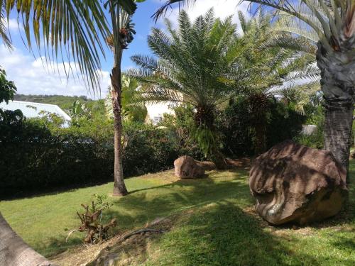 een tuin met palmbomen en een grote rots bij Villa Ticitron in Sainte-Anne