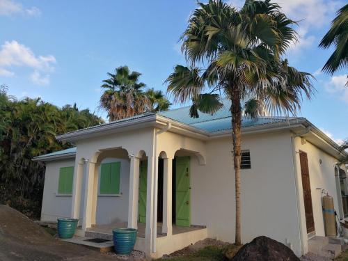 サンタンヌにあるVilla Ticitronの前にヤシの木がある家
