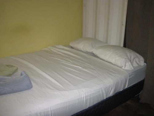 Una cama o camas en una habitación de Roatan Backpackers' Hostel