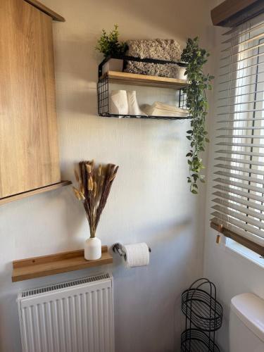 a bathroom with a radiator and a shelf with plants at Princess's Palace, Holiday Lodge, Malvern View Leisure Park in Stanford Bishop