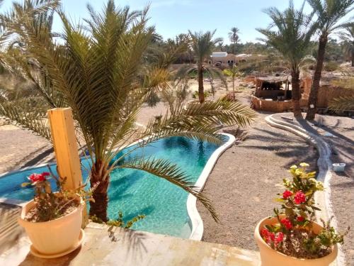 Gallery image of Paloma Camp in Siwa