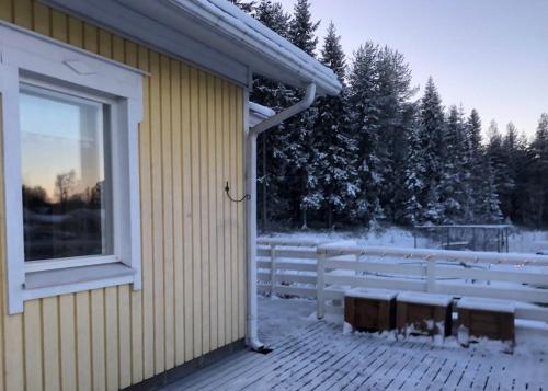 Billede fra billedgalleriet på Manela i Korospohja