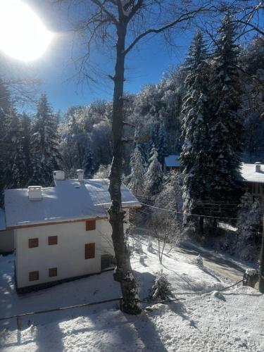 een wit gebouw in de sneeuw met een boom bij Фокс Хаус FOX HOUSE in Peshtera