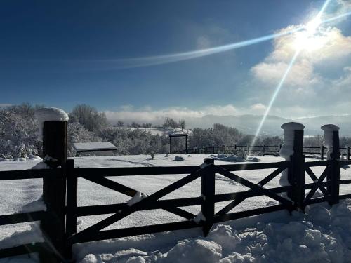 Tea House Ponoarele im Winter