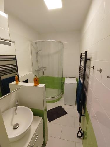 a bathroom with a sink and a shower and a toilet at Apartmán Emma Volary in Volary