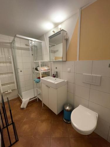 een badkamer met een toilet, een wastafel en een douche bij FeWo Renken in Trassenheide