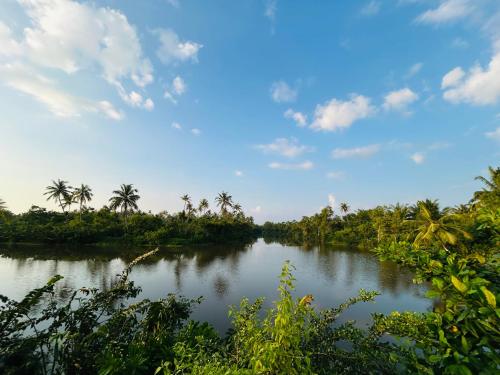 Natuurlandschap vlak bij het hostel