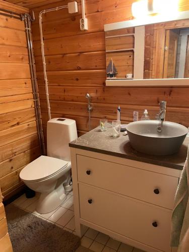 La salle de bains est pourvue de toilettes, d'un lavabo et d'un lavabo. dans l'établissement Tallbo24, 