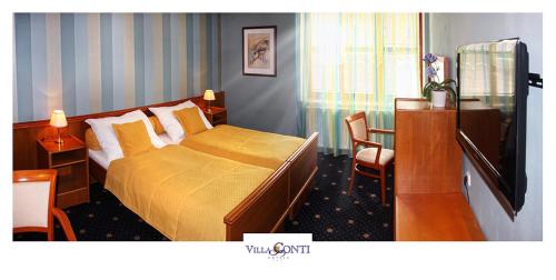 a hotel room with a bed and a desk at Hotel Villa Conti in Písek