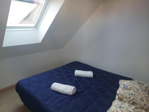 twee kussens op een blauw bed in een kamer bij L'Eclose - Les Korrigans in Le Guilvinec