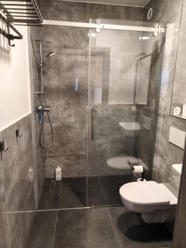 a bathroom with a glass shower and a toilet at Apartament KOJA in Rewal
