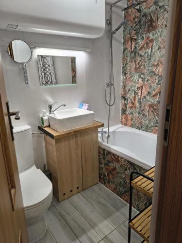 a bathroom with a sink and a toilet and a tub at Dolina Rosy in Ustrzyki Dolne