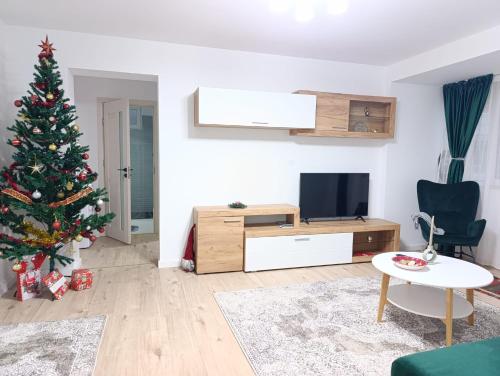 Billede fra billedgalleriet på Apartament Karina i Baia Mare