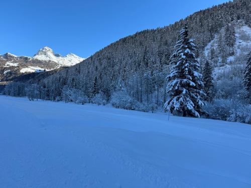 Grande Maison Du Coeur Champoluc Spa,Gym e Aree Relax om vinteren