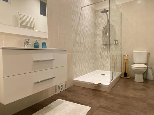 ein weißes Badezimmer mit Dusche und Toilette in der Unterkunft Le Relais d'Angély in Saint-Jean-dʼAngély