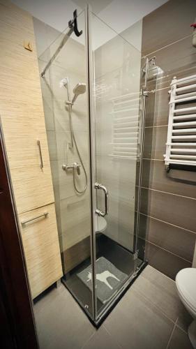 a shower with a glass door in a bathroom at CitiMarina56 in Brodnica