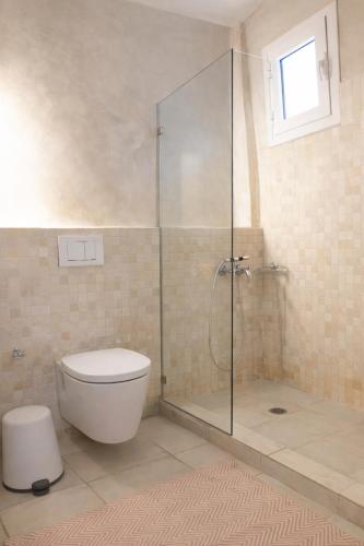 a bathroom with a toilet and a glass shower at Tetrapolis Keos in Milopótamos