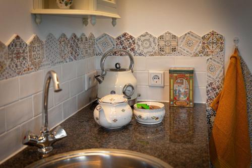 een aanrecht met een wastafel en een waterkoker bij Berend 't Boerle in Vorden