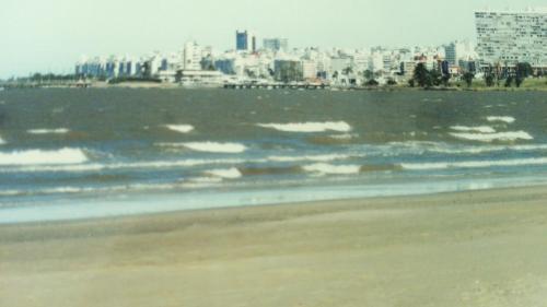 a view of the beach with a city in the background at Hotel Gaviota in Montevideo