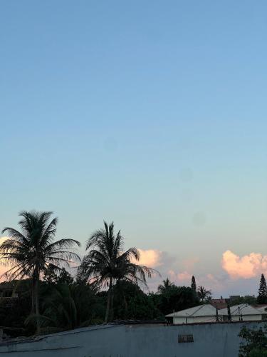 een groep palmbomen tegen een bewolkte hemel bij Casa das laranjeiras in Serra