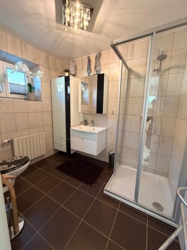 een badkamer met douche, wastafel en toilet bij Appartement Sammer in Piesendorf