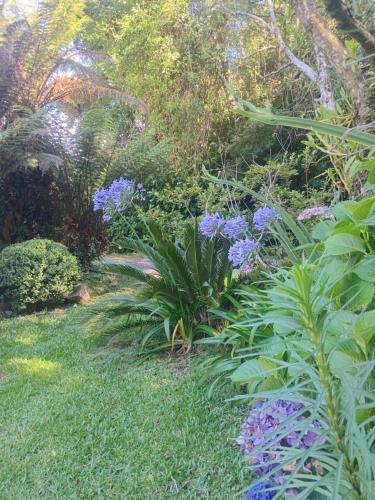 Een tuin van Casa Verde do Lago