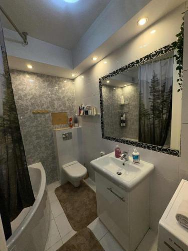 ein Badezimmer mit Waschbecken, Toilette und Spiegel in der Unterkunft Apartament u Buni in Breslau