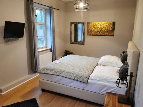 a bedroom with a bed and a tv on the wall at Hotel & Spa Wasserschloss Westerburg in Westerburg