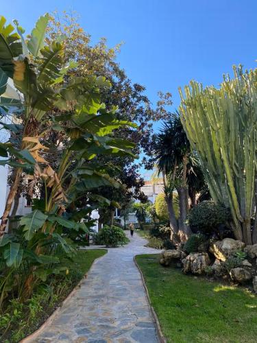 Hacienda Beach Estepona - Primera línea de playa, piscinas y jardines tropicales photo 30