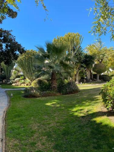 Hacienda Beach Estepona - Primera línea de playa, piscinas y jardines tropicales photo 31