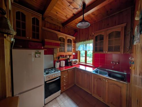 een keuken met houten kasten en een witte koelkast bij Dowcień in Burdeniszki