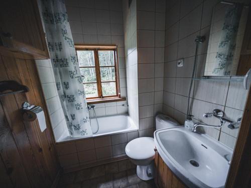 een badkamer met een bad, een wastafel en een toilet bij Dowcień in Burdeniszki