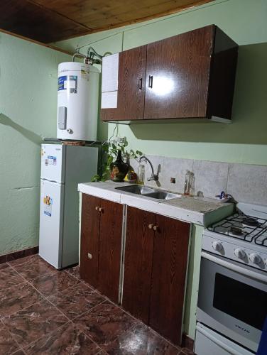 a kitchen with a sink and a refrigerator at La casita del parque in Mar del Plata