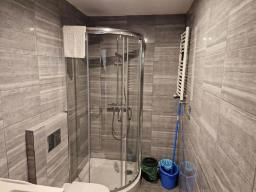 een badkamer met een douche, toilet en wastafel bij Apartamenty Dzika Orlica in Zieleniec