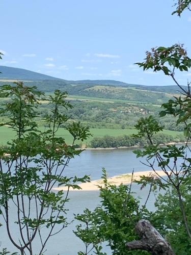 Naturlandskabet i nærheden af lejligheden
