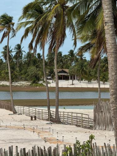 a beach with palm trees and a fence at Casa na lagoa in Acaraú