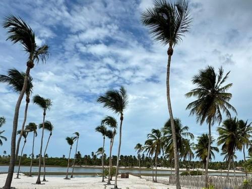 度假屋周边自然景观