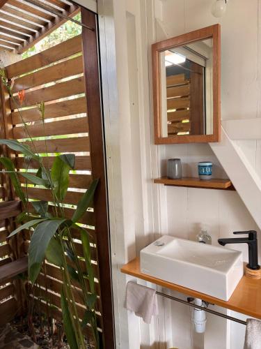 a bathroom with a sink and a mirror at La Kaban in Le Vauclin